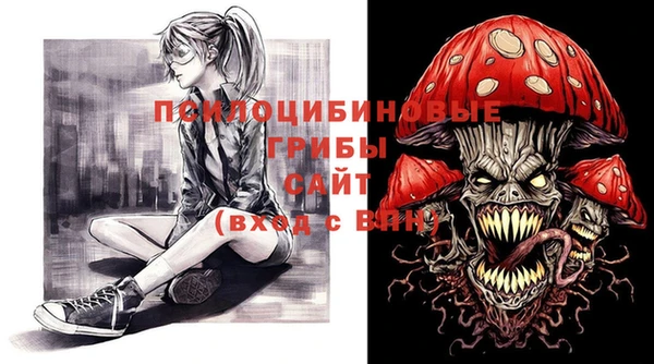 ECSTASY Волосово