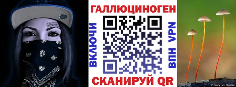 блэк спрут рабочий сайт  Шахты  Галлюциногенные грибы Psilocybine cubensis 